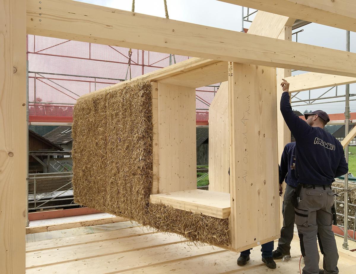 Biosourcés : lenjeu dune économie circulaire moins émissive